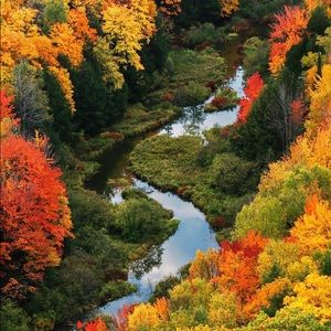 Meet your Posher, Connor